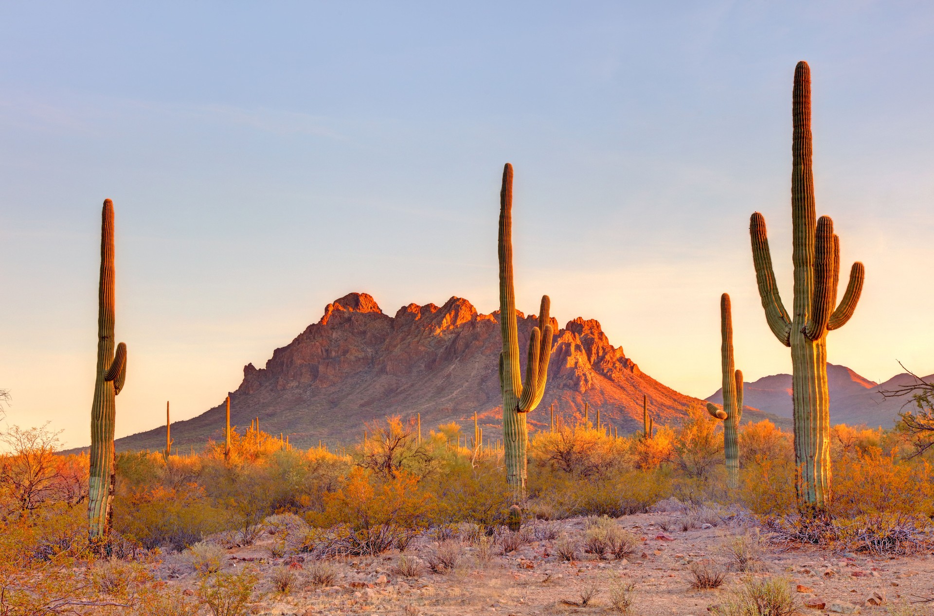Ironwood National Monument in Arizona